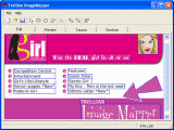 The Screenshot of Trellian ImageMapper