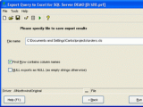 Export Query to Excel for MS SQL Server