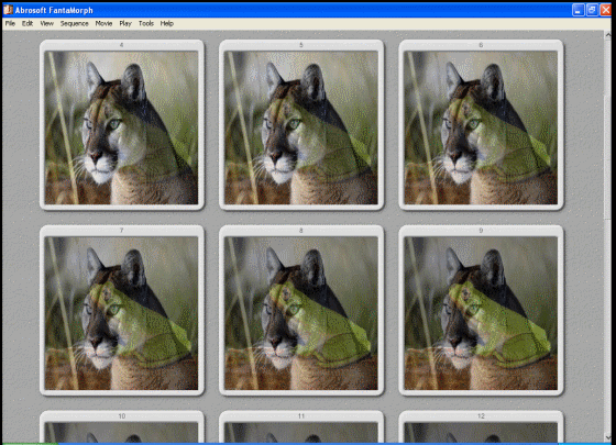 The Screenshot of Abrosoft FantaMorph