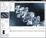 GdPicture Light Image Processing Toolkit 
         