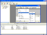 aSkysoft Screen Recorder