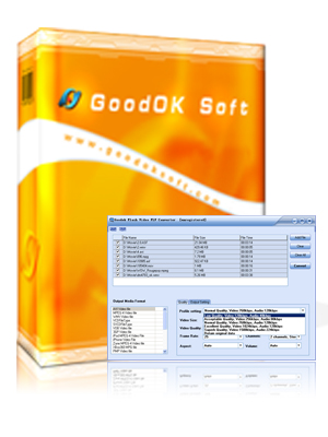 GoodOK Flash Video FLV Converter