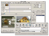 AVS Video Tools Platinum