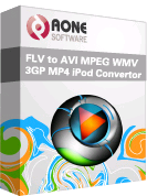 FLV AVI MPEG Video Converter