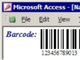 MS Access Barcode Integration Kit
